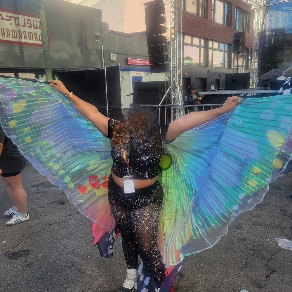 Custom Colorful Light Up Iridescent Butterfly Wings